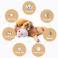 🔥Promotion de Pâques à durée limitée🔥Jouet en peluche pour animal de compagnie en mouvement actif