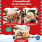 🎁Joli jouet en peluche représentant une vache des Highlands
