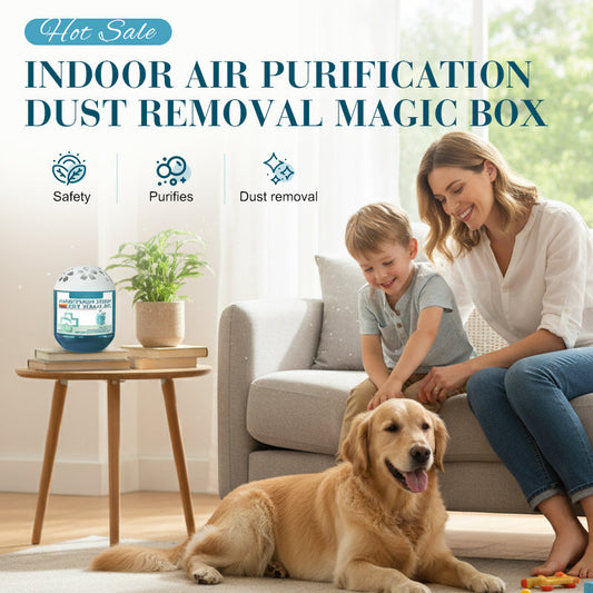Boîte magique de purification et d'élimination de poussière pour l'air intérieur