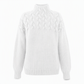 Pull en maille col roulé décontracté de couleur unie